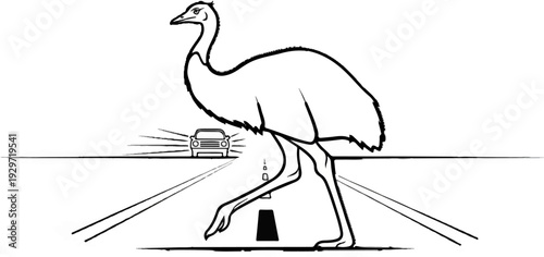 A large bird walks across a road as a car approaches
