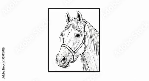 Elegant equine portrait sketch showcasing a horse's head and flowing mane with a halter