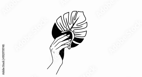 A delicate hand gently holds a split monstera leaf, showcasing organic beauty