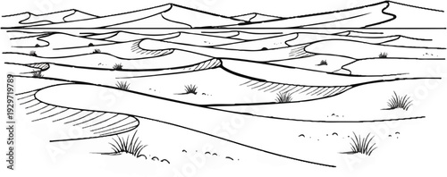 Stylized line drawing of undulating sand dunes with sparse vegetation and distant mountains