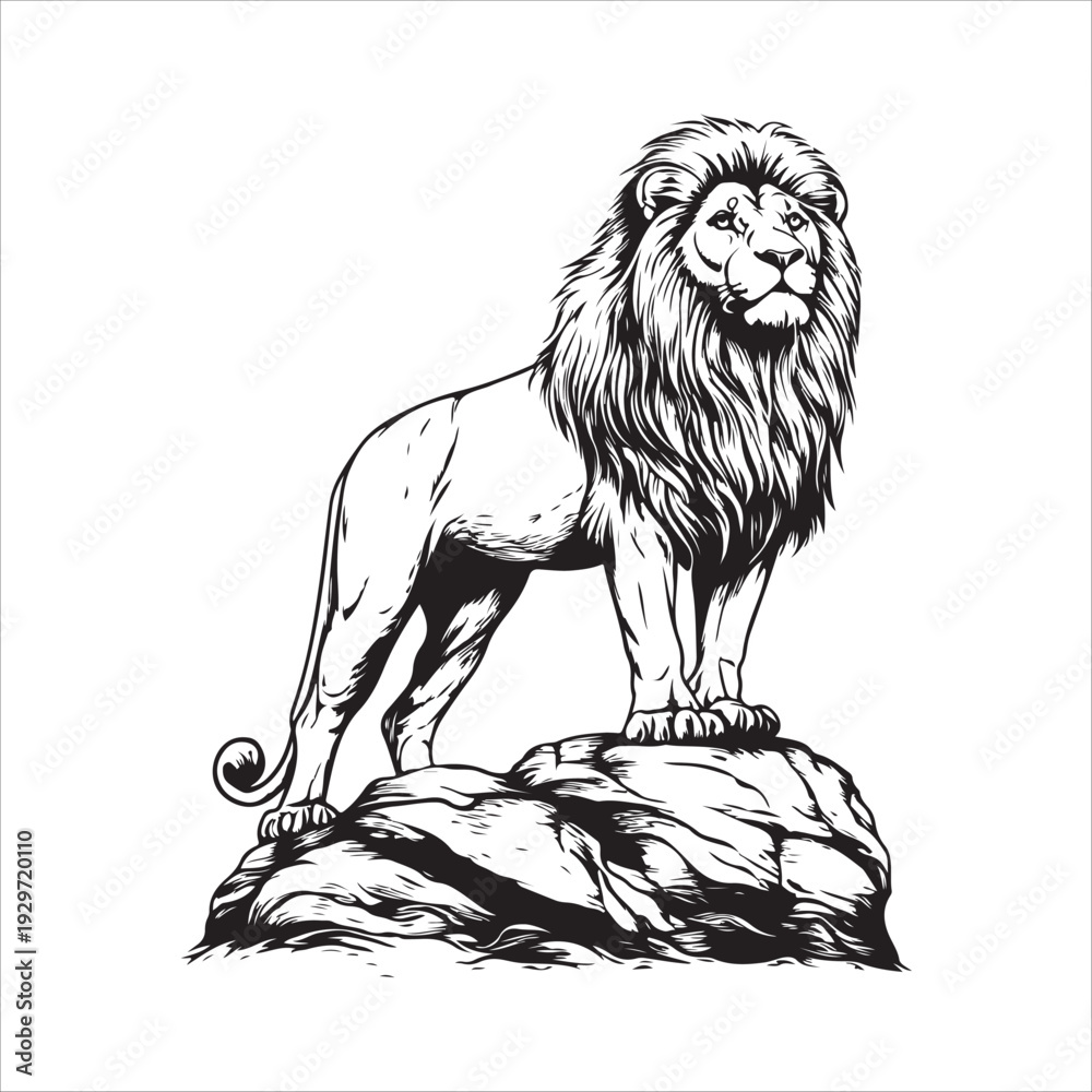 Obraz premium Black and white silhouette of a roaring lion standing on a rock. 