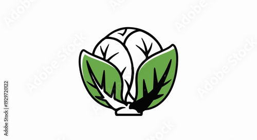 A stylized illustration of a cabbage with green leaves and white core