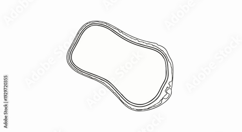 Organic shape with irregular, layered outlines on a white background