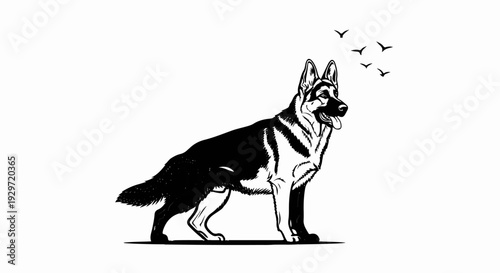 Elegant German Shepherd stands proudly with a flock of birds in flight