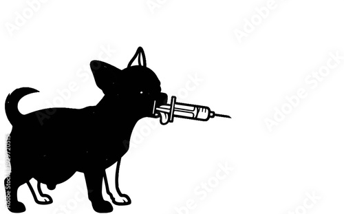 Black silhouette of a small dog holding a syringe in its mouth