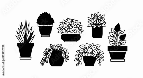 Silhouettes of seven potted houseplants in varying styles and sizes