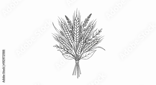 Sketch of a tied bundle of ripe wheat stalks, leaves, and smaller floral sprigs