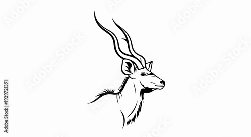 Stylized line art depicts the majestic profile of a kudu with its signature spiraling horns