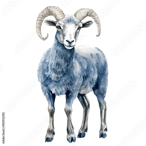 Bharal Blue Sheep, watercolor illustration featuring playful movement and lively expressions, isolated on a white background.