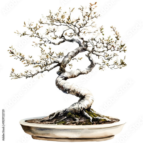 Beech Bonsai, watercolor painting capturing graceful lines and soft blended shades, isolated on a white background.