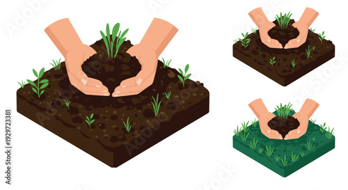 hands holding fresh soil with green seedlings in isometric hand drawn style for gardening and environmental care concept