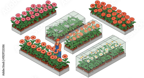 isometric flower greenhouse with various blooming flowers and gardener tending plants in hand drawn style