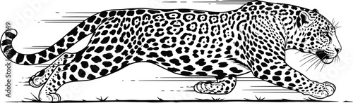 Hand drawn simple sketch vector illustration of a jaguar in minimalist line art style