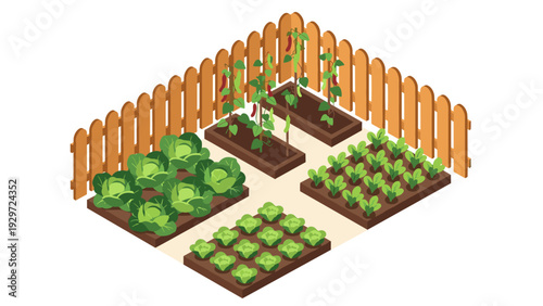 isometric vegetable garden with cabbage lettuce chili plants and wooden fence in flat style
