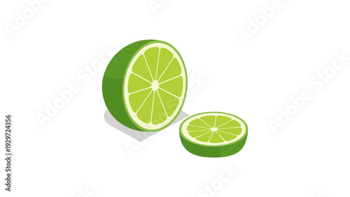 half and slice of lime fruit realistic hand drawn illustration
