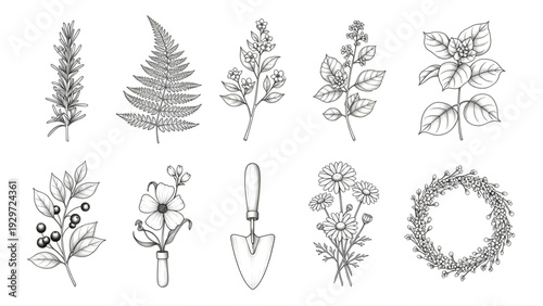 Botanical garden illustrations