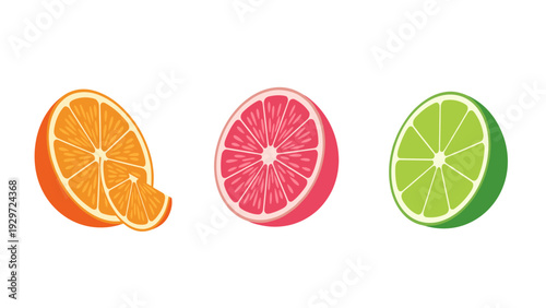 set of colorful citrus fruit slices orange grapefruit and lime hand drawn illustration for food design