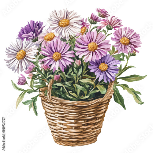 Aster Bouquet In A Basket, watercolor artwork with bold brush accents and dynamic composition, isolated on a white background.