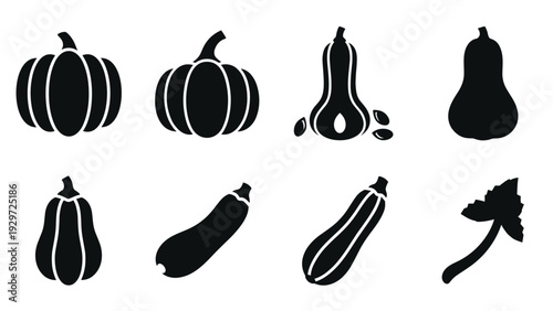 set of hand drawn pumpkin and squash silhouettes with seeds and leaf elements