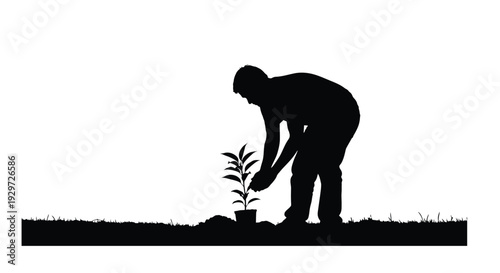 Silhouette of a person carefully planting a small seedling outdoors