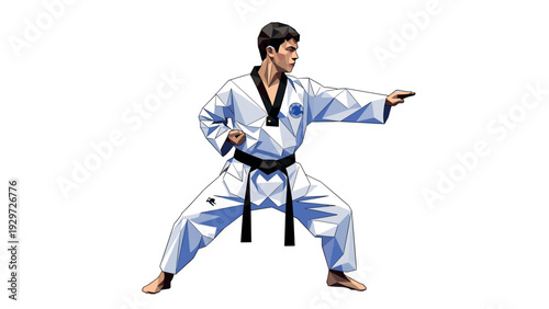 martial arts man in black belt uniform performing karate pose geometric style