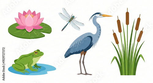 Nature Scene With Frog, Heron, Dragonfly, Lily Pad, And Cattails