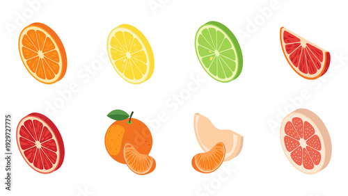 citrus fruits set with orange lemon lime grapefruit and tangerine hand drawn illustration