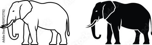 A black and white illustration of two elephants standing side by side