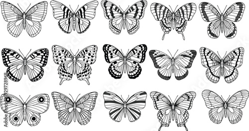Detailed Butterfly Collection Set, Black and White Realistic Insect Wing Patterns Vector Illustration Isolated on Light Background for Nature Design