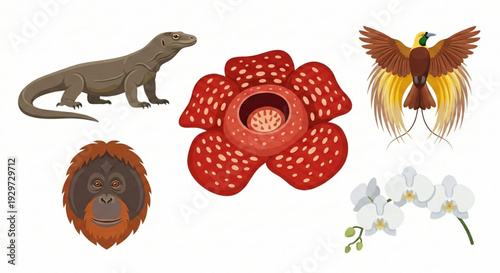 Diverse Illustrations of Exotic Wildlife and Rare Tropical Flora Showcasing Biodiversity