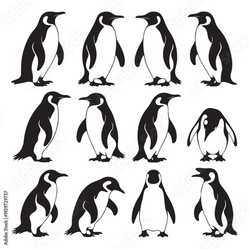Wallpaper Mural Penguin Poses Silhouette Vector Collection, Realistic Antarctic Bird Stance Set Torontodigital.ca