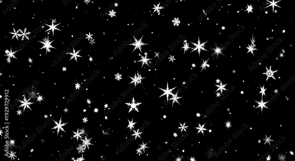 Fototapeta premium A stunning black and white starry night sky with numerous twinkling stars and celestial bodies