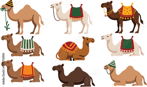 Camel collection set with traditional decorative saddle blankets, desert animal caravan illustration, cute cartoon dromedary and bactrian camels vector isolated