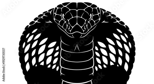 Cobra snake head spread hood black and white