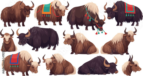 Himalayan Yak Vector Collection Featuring Long Haired Wild and Domesticated Bovine Species with Traditional Tibetan Saddles for Central Asian Nature and Cultural Travel Designs