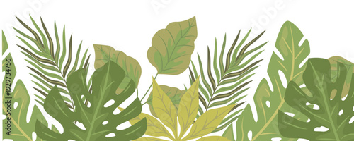Lush green tropical jungle leaves including monstera and palm fronds illustration.