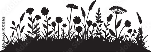 Black silhouette of wildflowers and grasses on a white background
