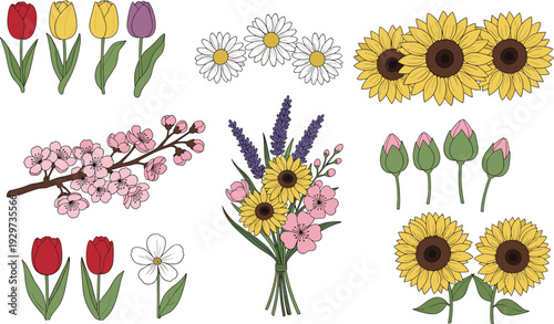 Colorful and detailed of various flowers and bouquets tulips daisies sunflowers cherry blossoms