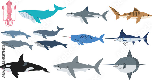 Marine Life Vector Collection Featuring Blue Whale, Great White Shark, Orca, Hammerhead, Narwhal, Squid, and Marlin for Ocean Conservation and Marine Biology Educational Designs