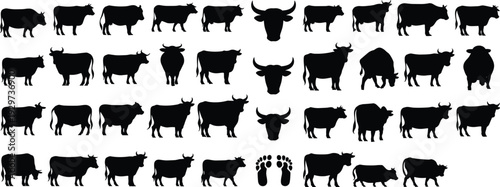 Cow and bull silhouettes, farm animal vector, livestock illustration, cattle icons, rural agriculture design, footprint anomaly art, pattern recognition concept