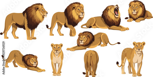Majestic Lion and Lioness Vector Set Featuring African Wildlife in Various Poses Including Roaring, Standing, and Crouching for Safari Nature and Leadership Graphic Designs