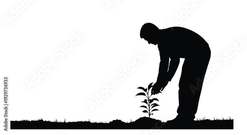 Silhouette of a man carefully planting a small seedling into the earth