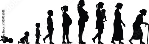Female life cycle silhouettes, newborn, infant, toddler, girl, pregnant woman, mother, middle-aged, elderly, aging stages, growth, vector illustration