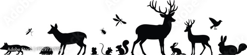Forest animal silhouettes collection, deer fox rabbit squirrel birds insects wildlife set isolated on white background black vector illustration