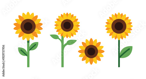 Sunflower Line art minimal bold color