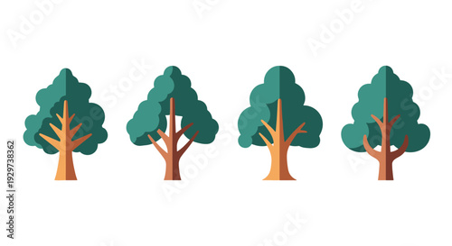Teak tree Line art clean modern color vector