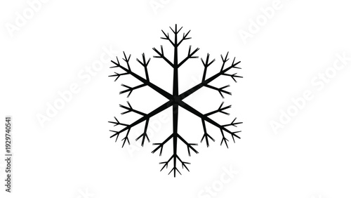 Hand-drawn black snowflake illustration with intricate branching patterns isolated on a white background for winter design.