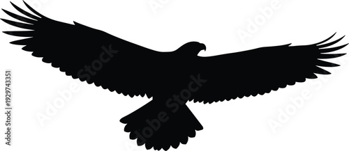 Majestic eagle silhouette vector illustration with large spread wings in flight, powerful hawk bird of prey icon for wildlife nature and freedom branding design projects