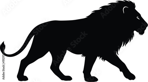 Strong male lion silhouette vector illustration walking in side view, powerful king of jungle icon with mane and tail for wildlife nature branding design