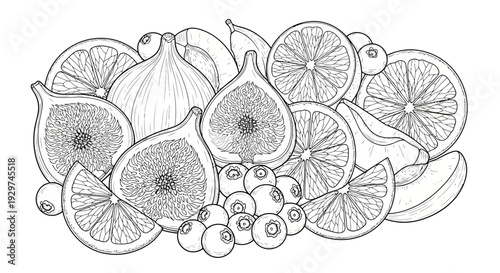 drawing of various fruit slices on white background